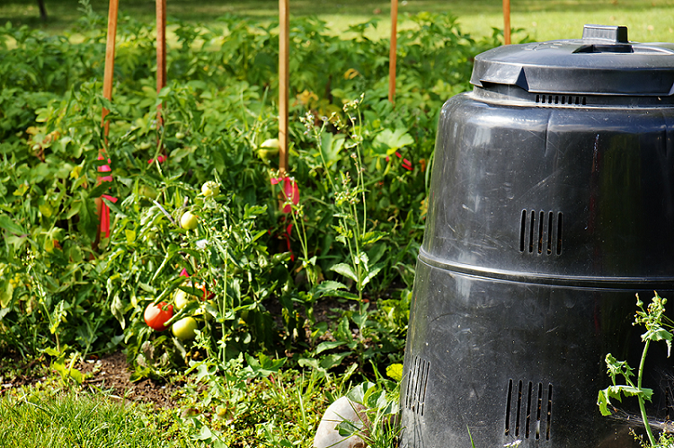 compost-container