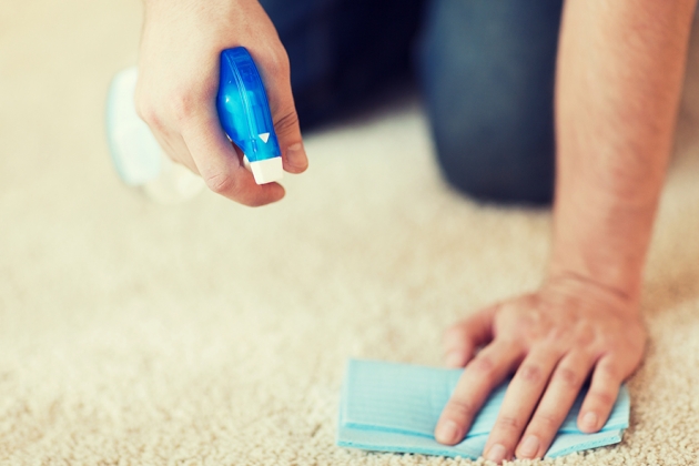 A person scrubbing the carpet