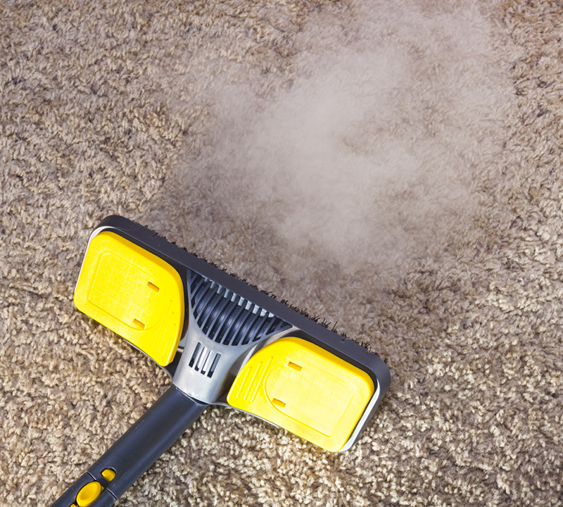 Carpet being steam cleaned